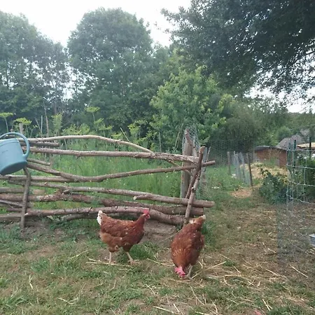 Chambres D'hotes Le Paon Du Jour Отель типа 
